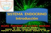 Sistema endocrino   introducción