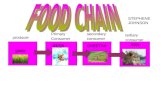 Edwards Food Chain