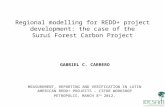 Regional modelling for REDD+ project development: the case of the Suruí Forest Carbon Project