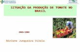 Situação da produção de tomate no Brasil