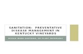 Sanitation:  Preventative Disease Management in Kentucky Vineyards