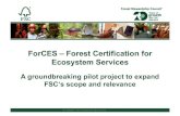 ForCES – Forest Certification for Ecosystem Services - A groundbreaking pilot project to expand FSC‘s scope and relevance