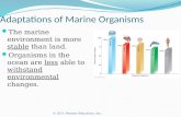 Adaptations of marine organisms