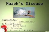 Marek’s disease