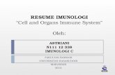 Resume imunologi