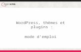 agoraCMS - WordPress, thèmes et plugins : mode d'emploi