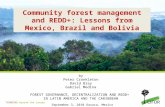 Community forest management and REDD+: Lessons from Mexico, Brazil and Bolivia