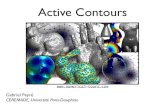 Mesh Processing Course : Active Contours