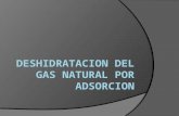 Deshidratacion del gas por adsorcion