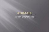 Animais - Vadim Onishchenko