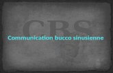 Communication bucco sinusienne