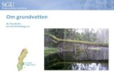 Grundvatten - en introduktion, Bo Thunholm