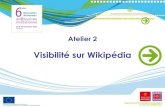 Visibilité sur Wikipédia (2010)