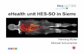 eHealth unit HES-SO in Sierre