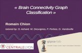 Presentation Internship Brain Connectivity Graph 2014 (ENG)