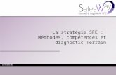 La stratégie SFE : méthode, compétences et diagnostic Terrain - SALESWAY - PharmaSuccess 2014