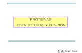 Proteinas Y AminoáCidos Enfer