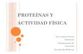 Proteínas Y Actividad Física
