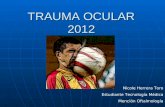 Trauma ocular 2012
