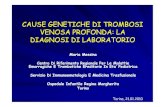 Messina Maria Torino 13° Convegno Patologia Immune E Malattie Orfane 21 23 Gennaio 2010 [Modalità Compat