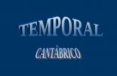 Temporal Cantabrico Marzo 2008