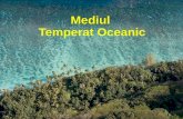 Mediul temperat oceanic 11 c