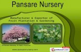 Pansare Nursery Maharashtra  India