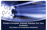 ROI - Return On Investment - Web Sites
