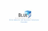 BlueBox Website Solutions Presentation