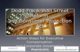 Wall Street Reform: Action Items for Compensation (Dodd Frank Act)