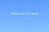 Prefixes and root words