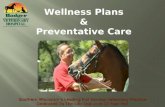 Equine Annual Exams & Wellness plans