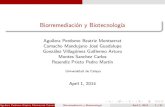 Biorremediacion y Biotecnología