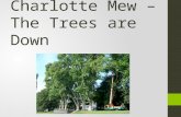 1.charlotte mew _the_trees_are_down