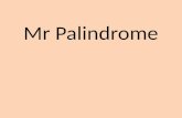Mr. Palindrome