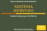 06 Sn Sistema Nervoso PeriféRico Tc 0809