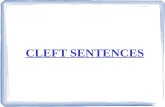 Cleft sentences 1