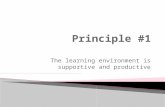 Principle 1