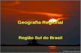 Geografia Regional   Sul
