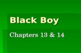 Black Boy Chapters 13 & 14