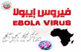 Ebola virus بالعربي