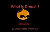 What's Drupal & Drupal as a Employee App Platform
