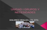 Unidad I grupos y necesidades