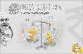 Union budget 2014 - A Social Media Analysis