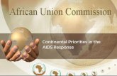 African Union Commission continental health priorities