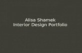 Alisa Shamek Portfolio 2
