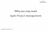 Dumaslab  - Agile project management