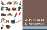 Aussie animals