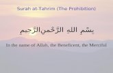 66   Surah At Tahrim (The Prohibition)