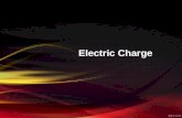 Electric charges